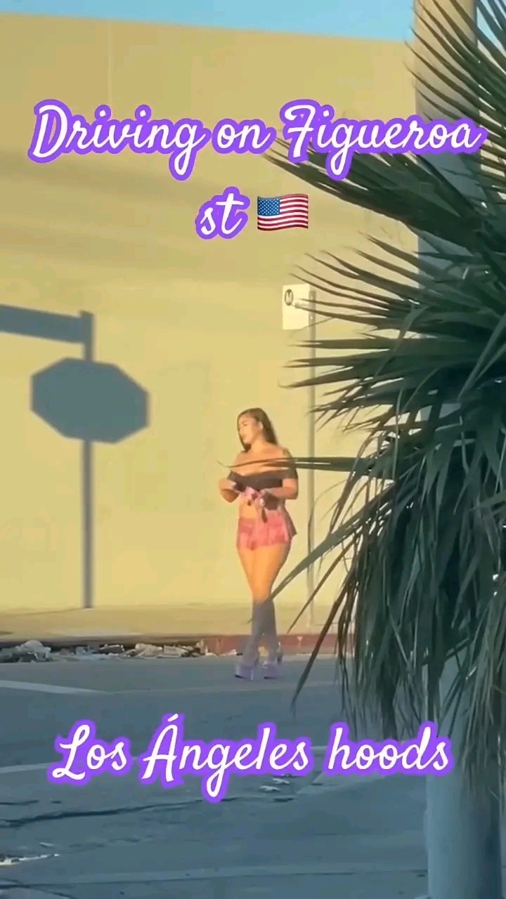 amateur photo 1763064232591