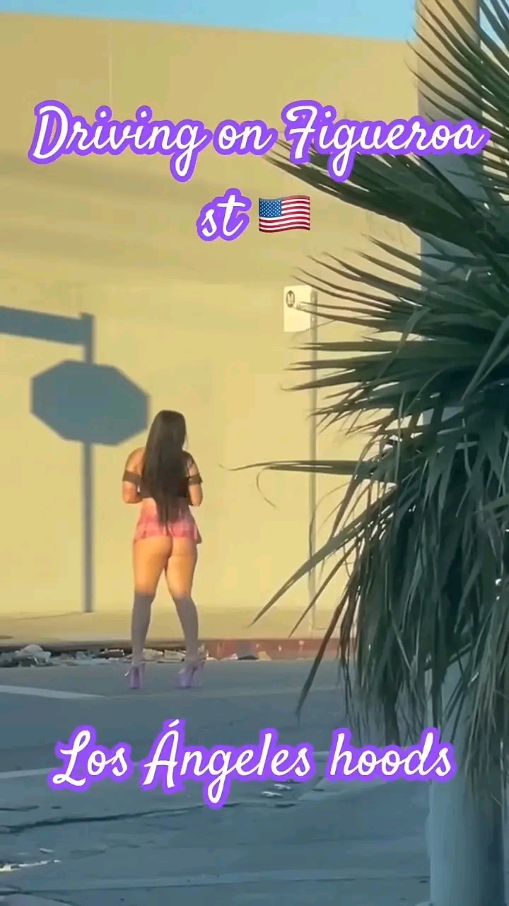 amateur photo 1763064234160