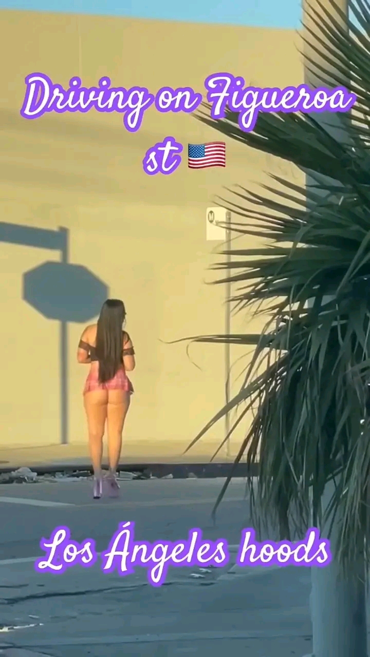 amateur photo 1763064235509