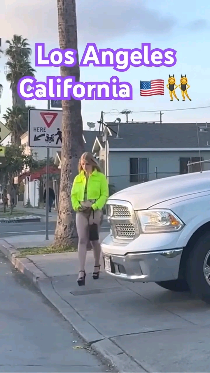 amateur photo 1763064241675