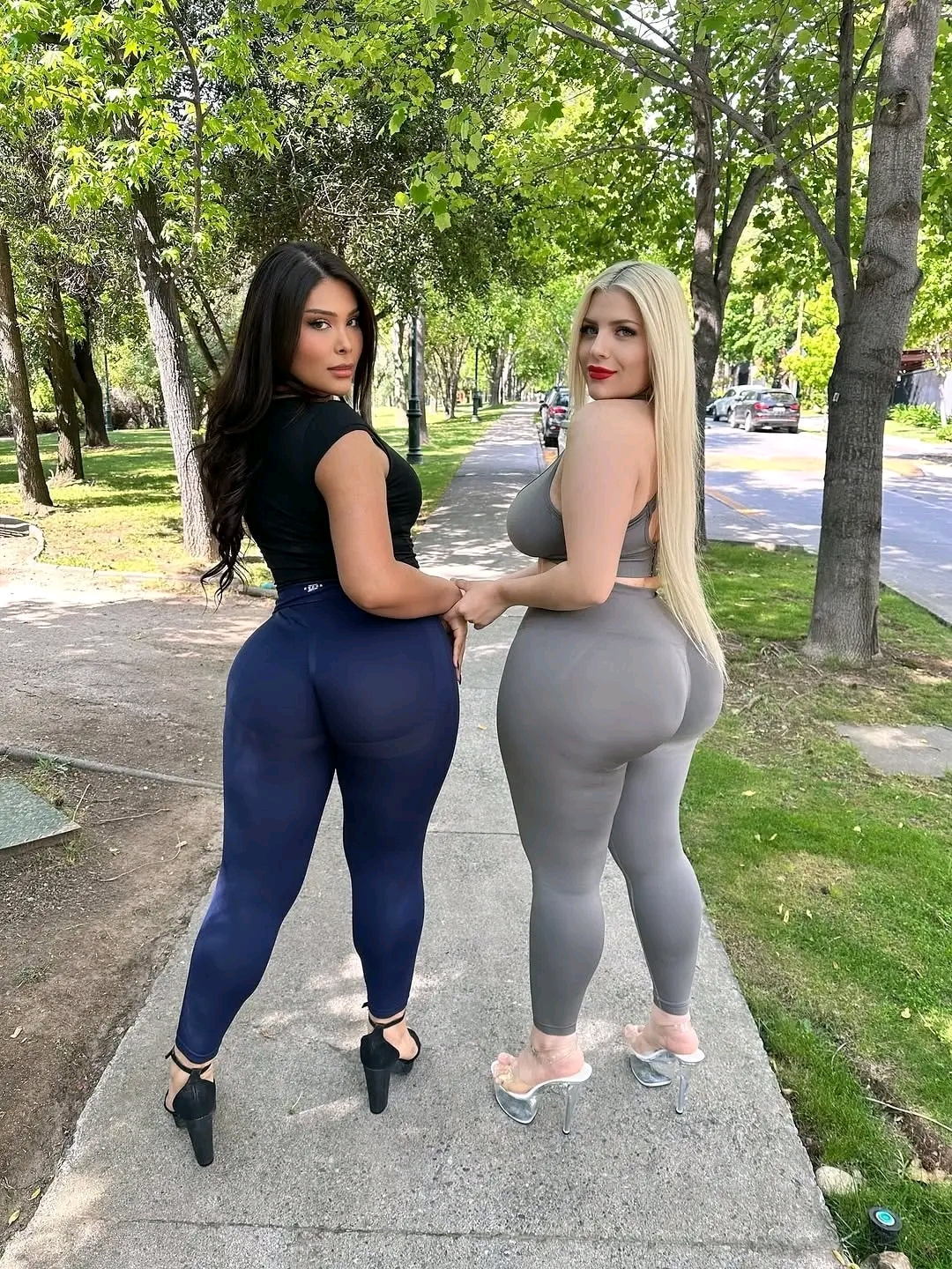 amateur photo 1763130399557