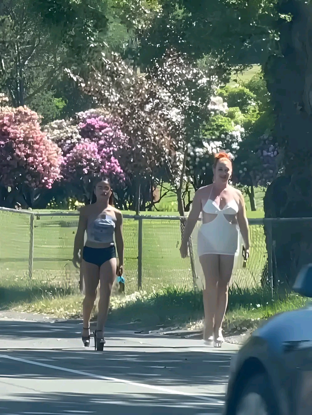 amateur photo 1763219816781