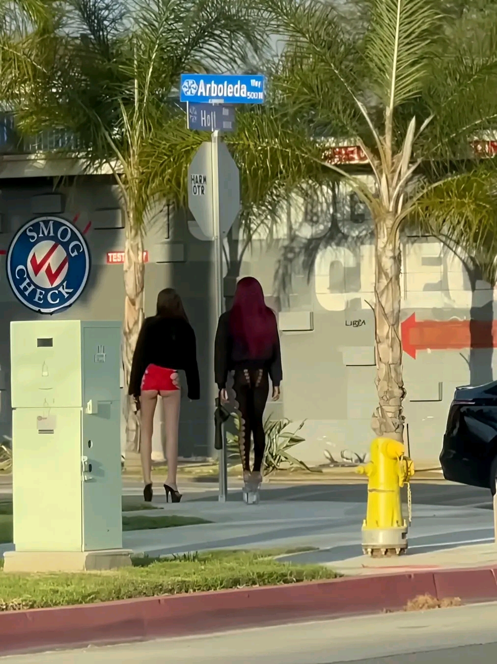 amateur photo 1763245241893