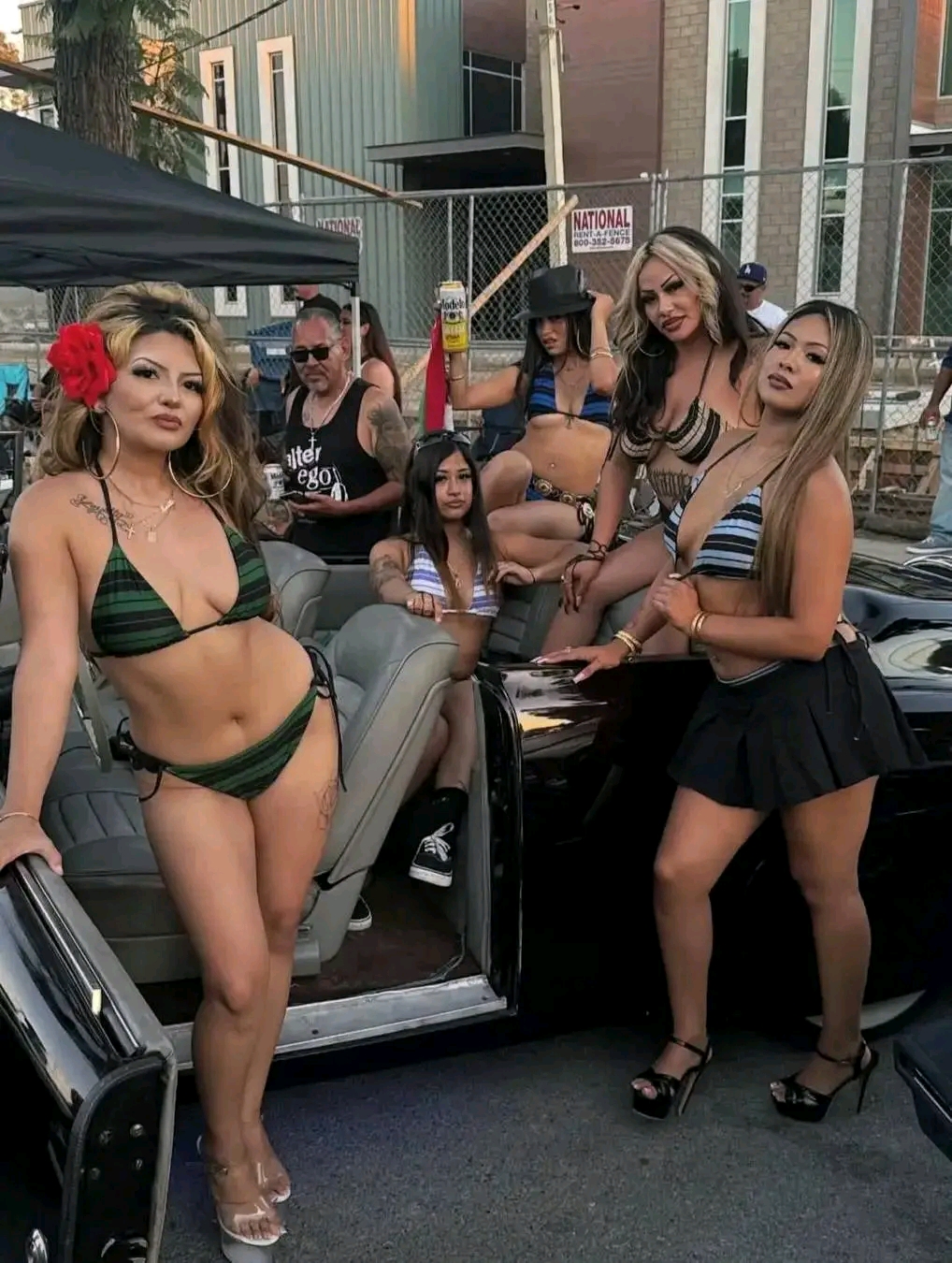 amateur photo 1763261845898