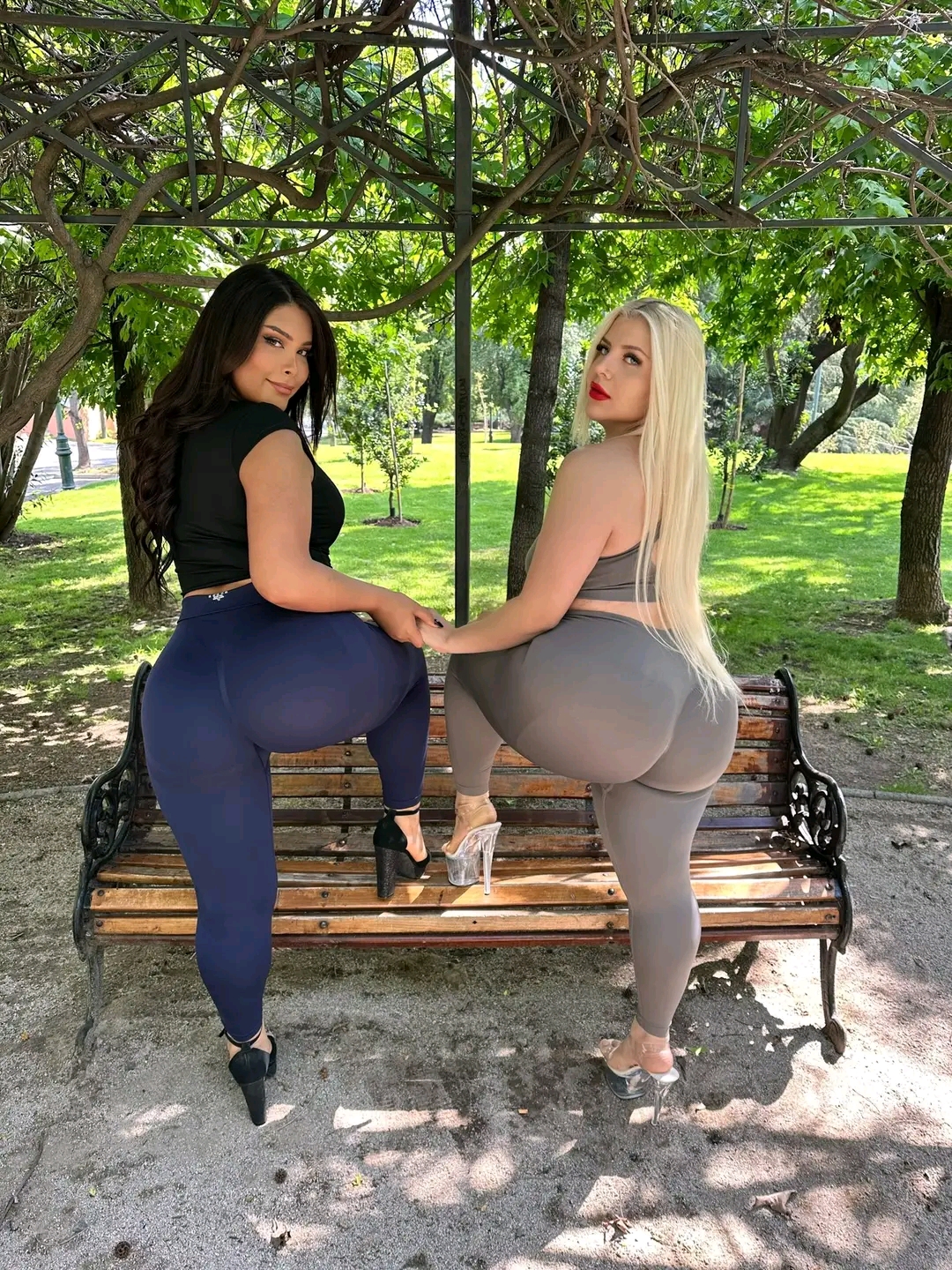 amateur photo 1763310025912