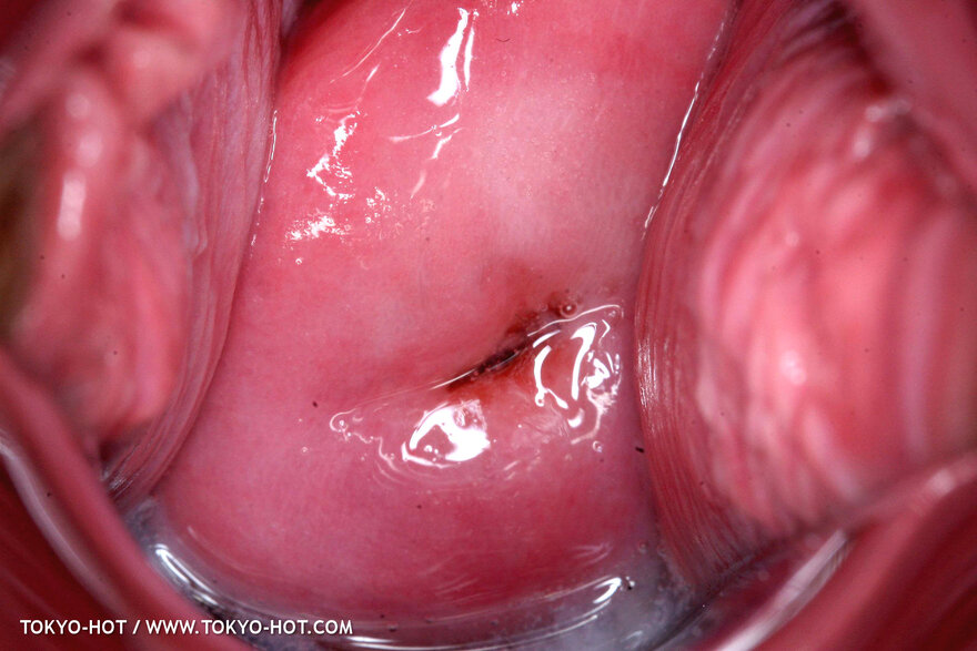 Mariko Shirosaki-564 nude