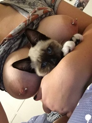 foto amatoriale Titty and kitty