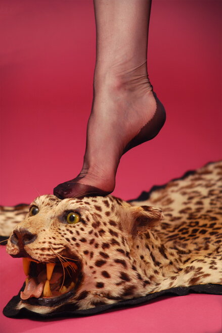 Dita Von Teese beast1 (10)