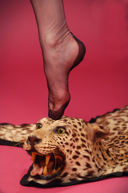 Dita Von Teese beast1 (10)-1