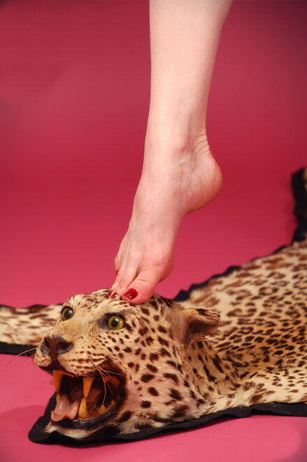 Dita Von Teese beast1 (11)