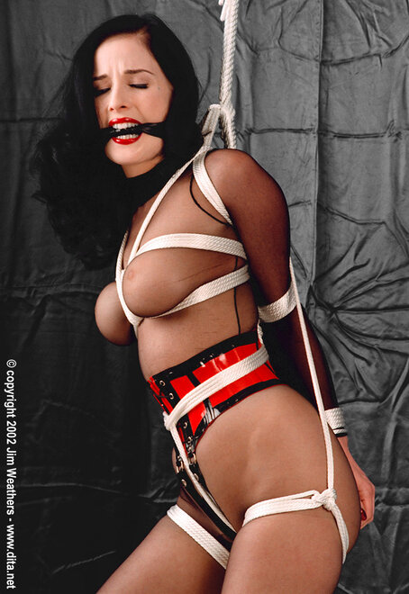 Dita Von Teese - 2 (14)
