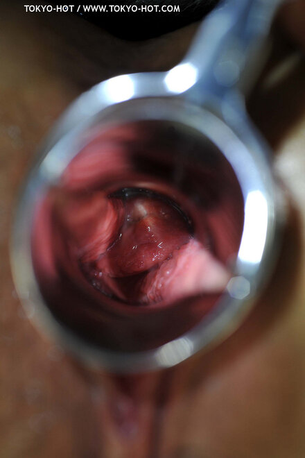 Nagisa Toyokawa-1090 nude