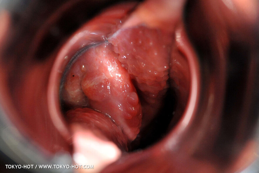 Nagisa Toyokawa-1100 nude