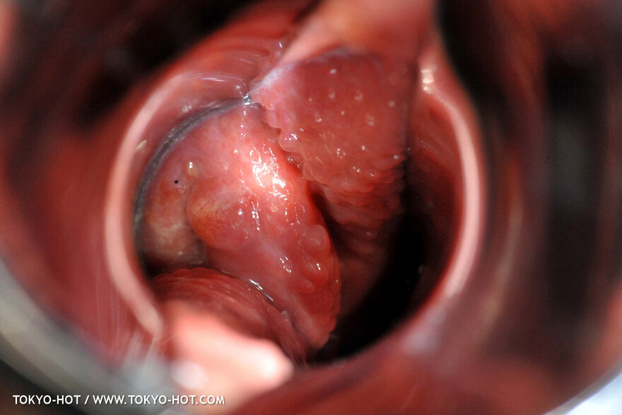 Nagisa Toyokawa-1101 nude