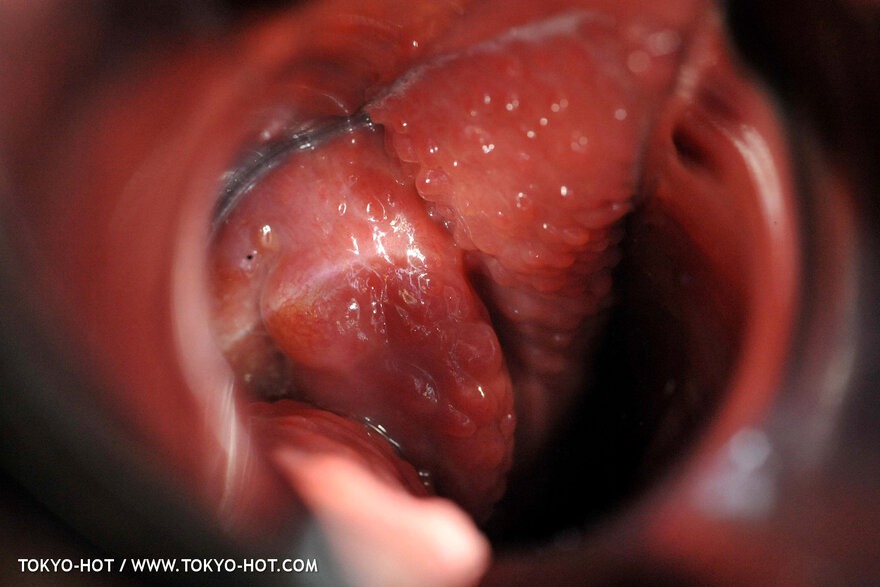 Nagisa Toyokawa-1103 nude