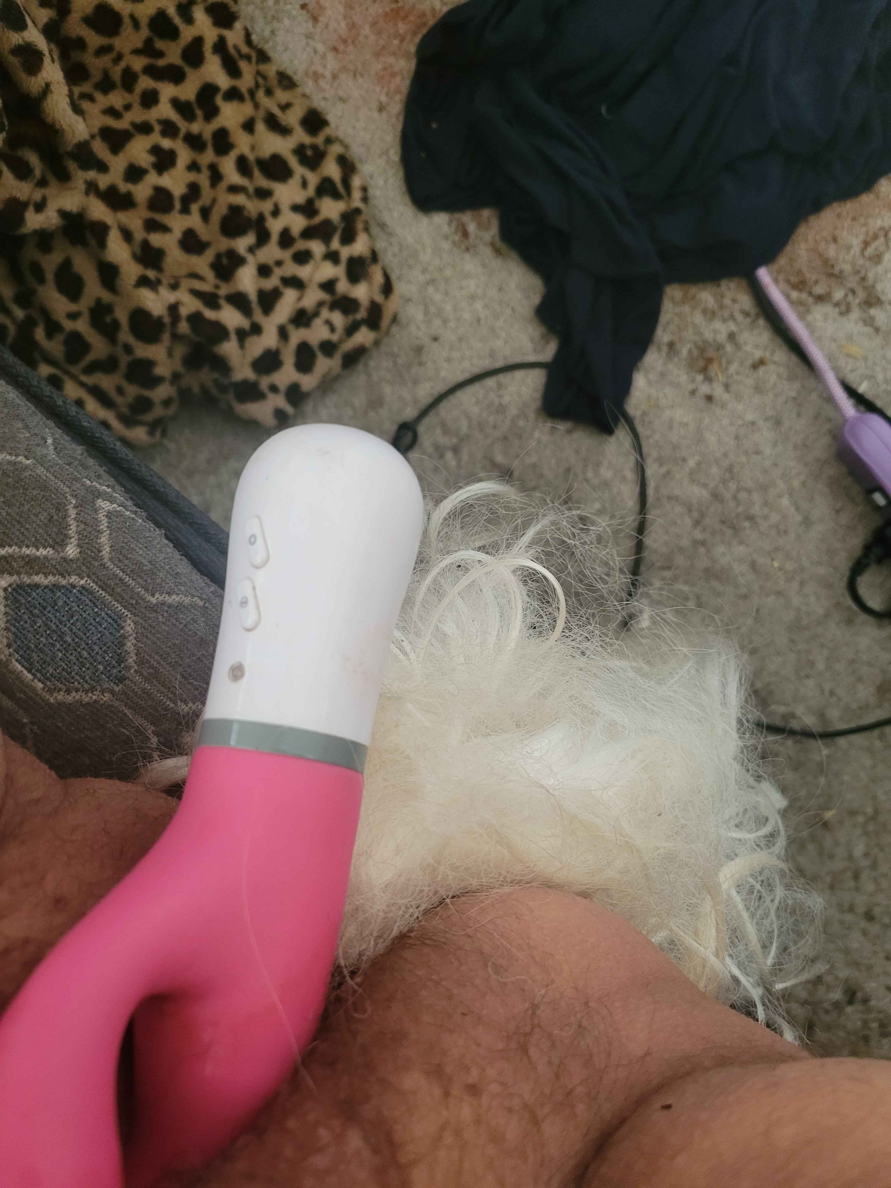 amateur photo 20241102_133849