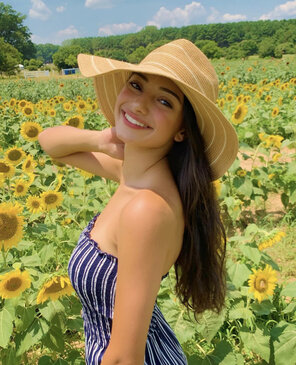 A walk in the sunflowers