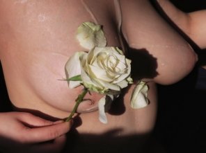 amateur-Foto semen and a flower for her lovely titties