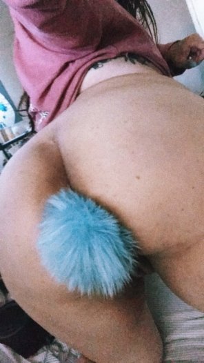 photo amateur bunny tail butt plug