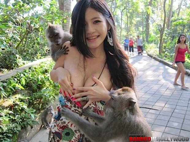 Nude photos Business Monkey 30 Hilarious
