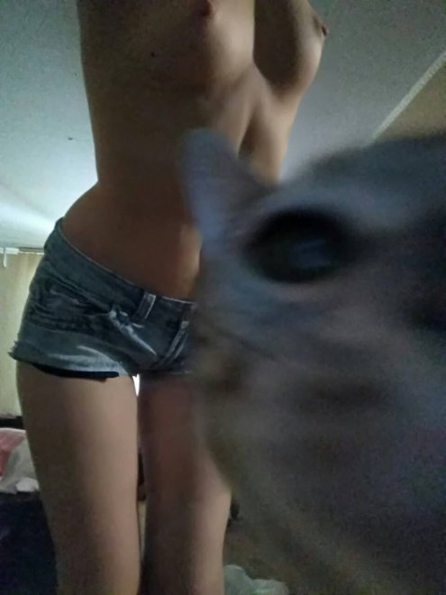 [F] Catbomb nude