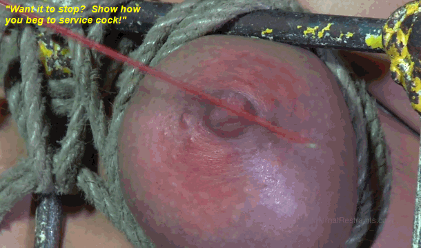 amateur describe bdsmlr-27885-rqfYKb6zQt