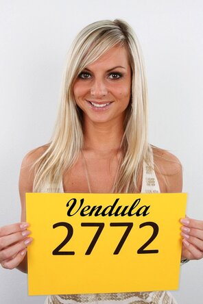 2772 Vendula (1)