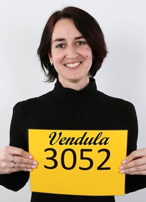3052 Vendula (1)