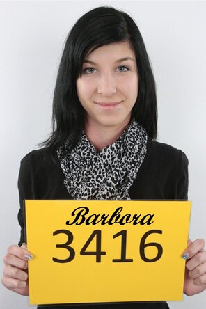 3416 Barbora (1)