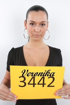 3442 Veronika (1)