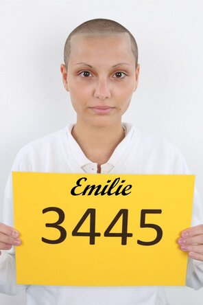 3445 Emilie (1)