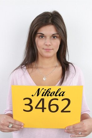 3462 Nikola (1)