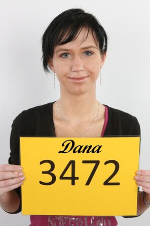 3472 Dana (1)