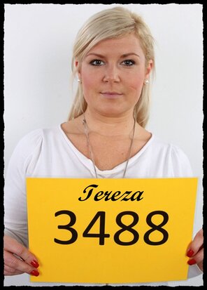 3488 Tereza (1)