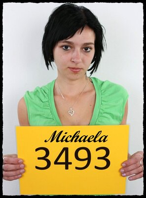 アマチュア写真 3493 Michaela (1)