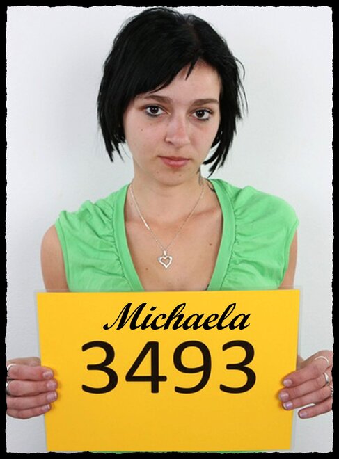 3493 Michaela (1)