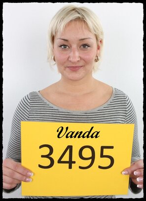 3495 Vanda (1)