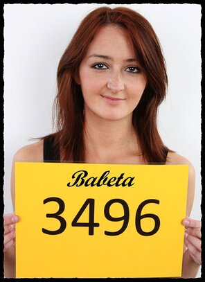 3496 Babeta (1)