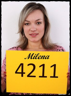 4211 Milena (1)
