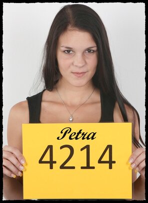 4214 Petra (1)