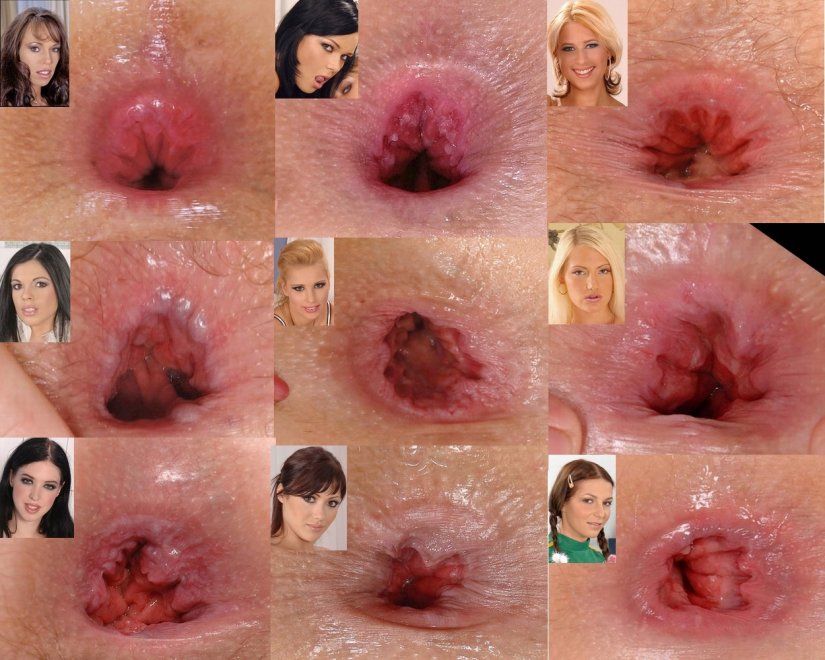 A collage pf porn star assholes. Can anyone name them?