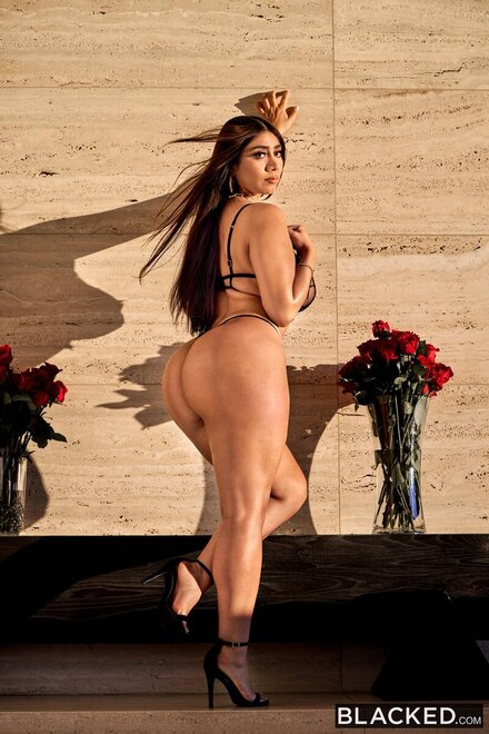 Blacked Violet Myers The Power Of Jason Luv Hardcore Stockings BigAss BigTits Lingerie (15)