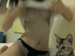 amateur photo Titties and Kitties