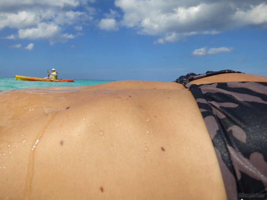 Jamaican Weasel 0148-topaz-sharpen