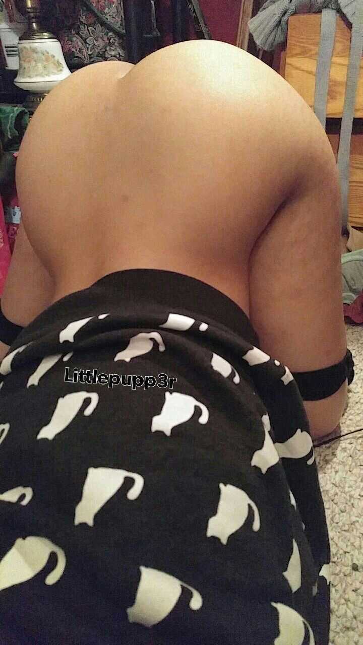 Littlepupp3r