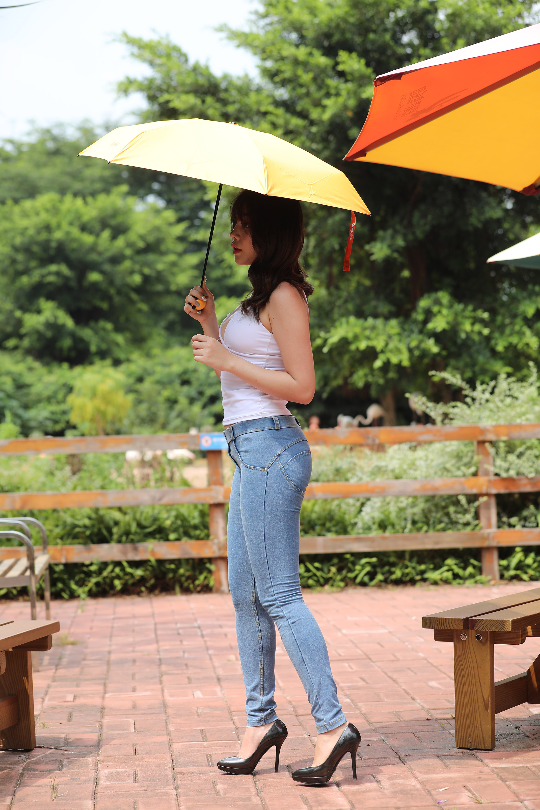 amateur photo I97A1100