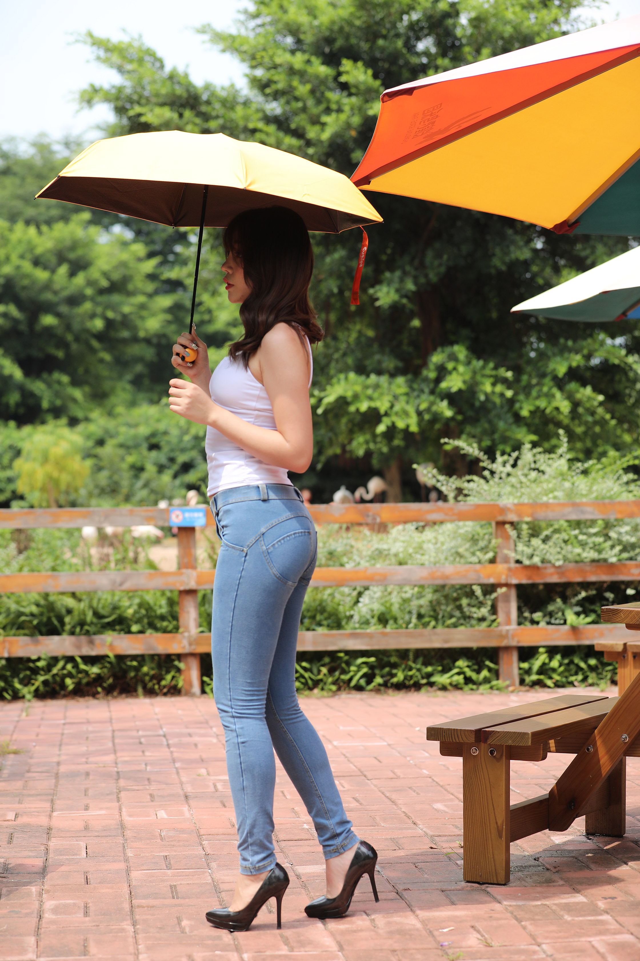 amateur photo I97A1102