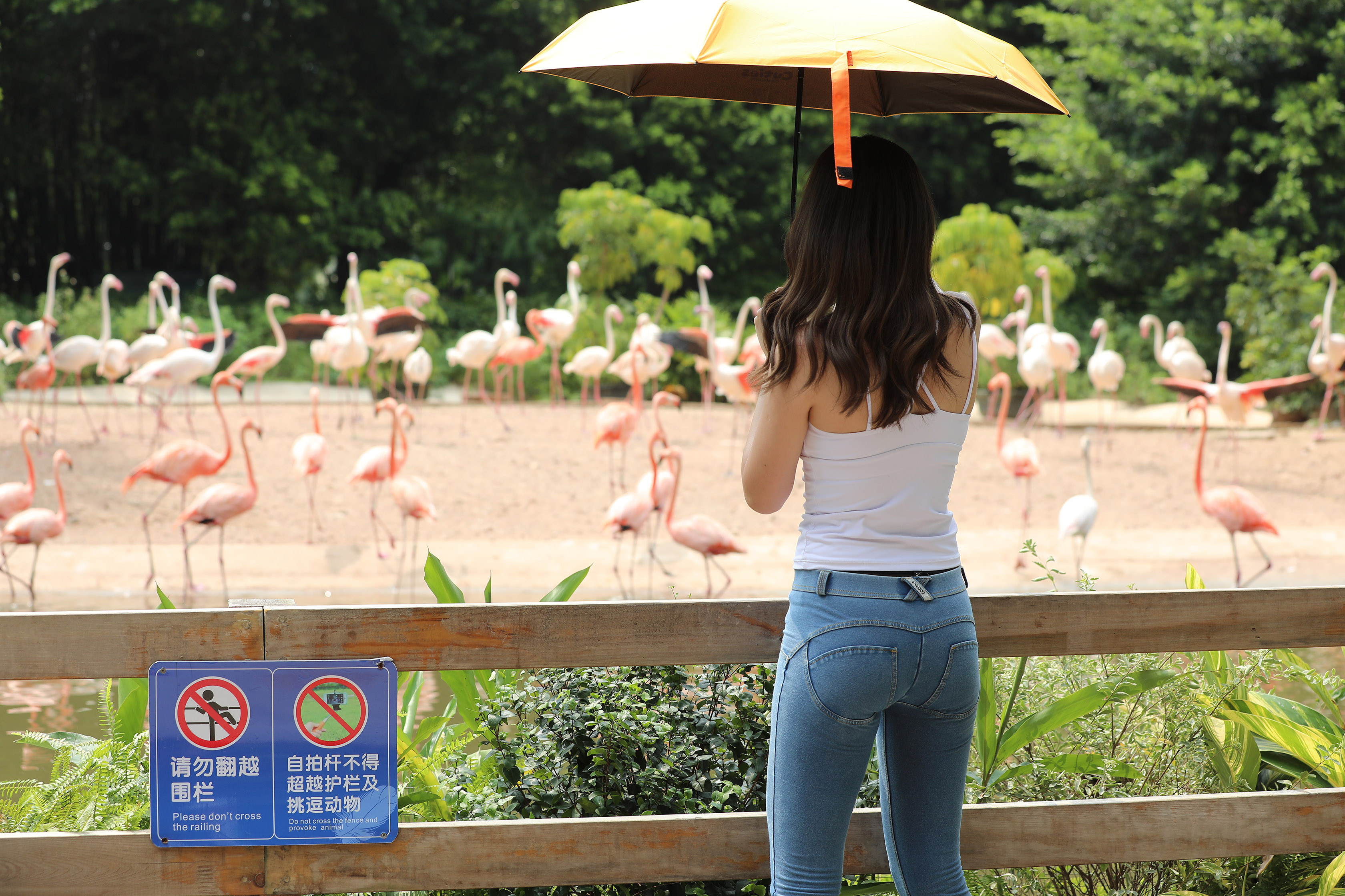 amateur photo I97A1146