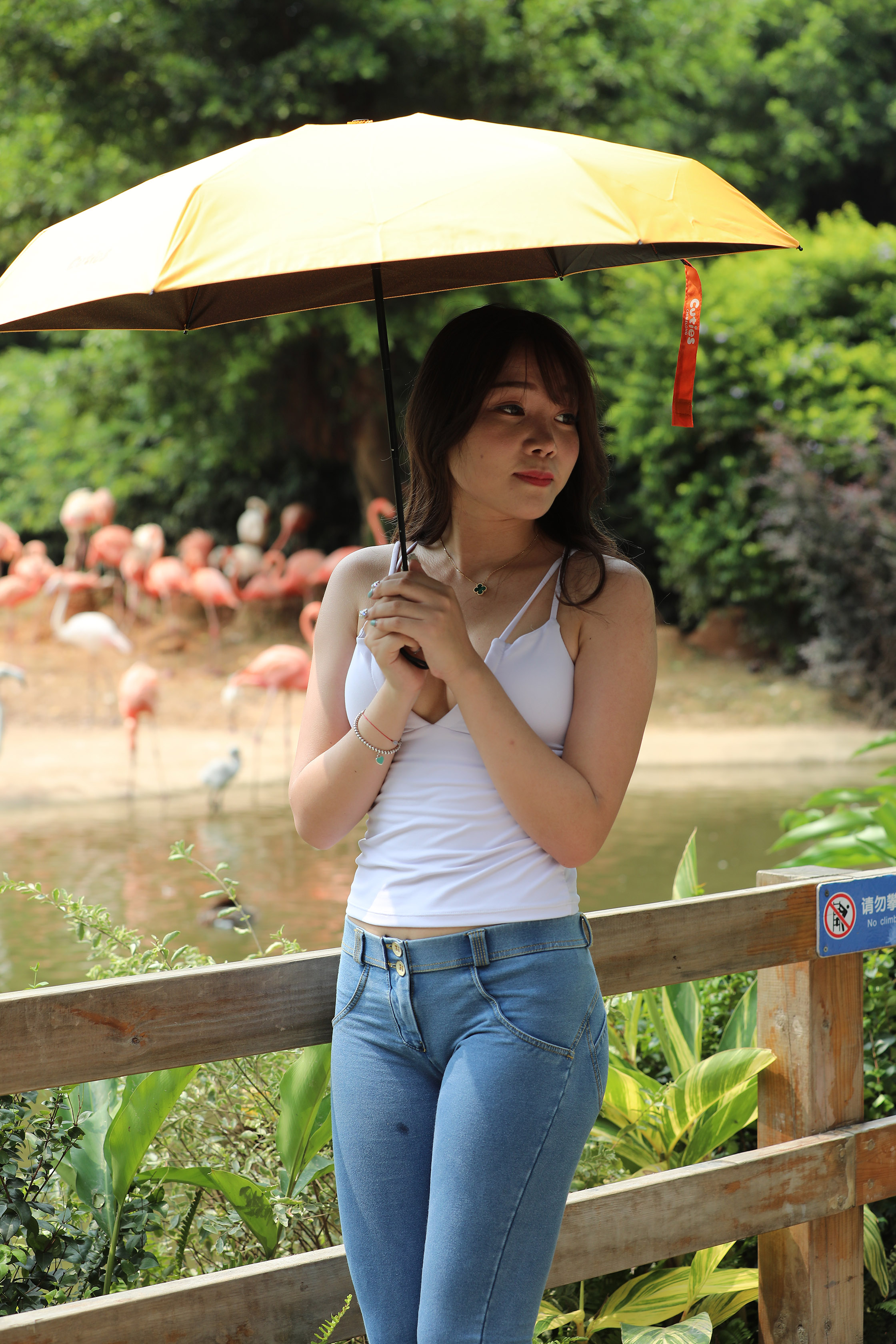 amateur photo I97A1151