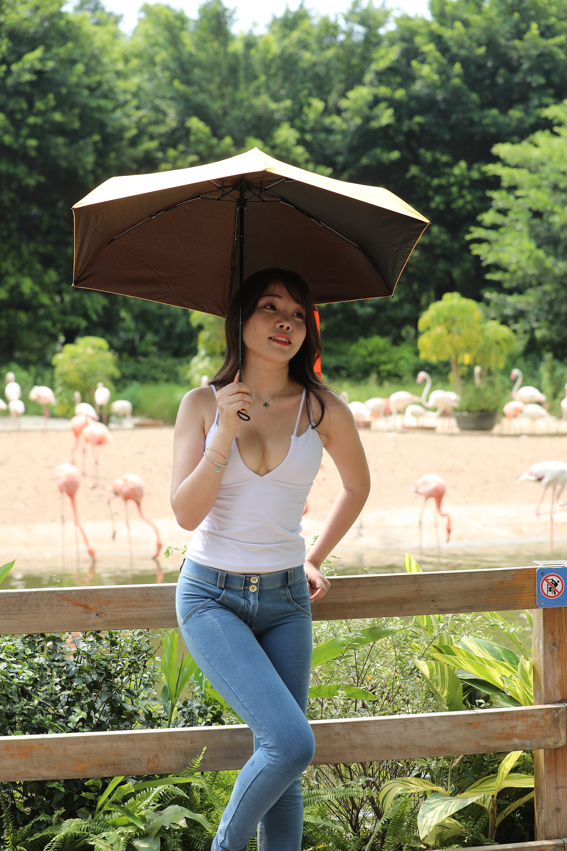 amateur photo I97A1153